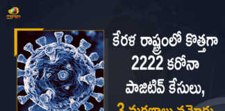 Covid-19 in Kerala 2222 New Positive Cases and 3 Deaths Reported in Last 24 Hours, Kerala, 2222 New Covid-19 Positive Cases, 3 Deaths Reported, 2222 Positive Cases, Kerala Covid-19, 3 Deaths Reported on March 2nd, 2222 New Covid-19 Positive Cases and 3 Deaths Reported In Kerala, 2222 New Covid-19 Cases 3 Deaths in Last 24 Hours In Kerala, Covid-19 Updates of Kerala 2222 Positive Cases 3 Deaths Reported on March 2nd, Kerala Covid-19 Updates 2222 Positive Cases 3 Deaths Reported on March 2nd, 2222 new Covid-19 cases, 2222 new Covid-19 cases In Kerala, 3 Deaths In Kerala, Kerala Covid-19 Updates, Kerala Covid-19 Live Updates, Kerala Covid-19 Latest Updates, Coronavirus, coronavirus Kerala, Coronavirus Updates, COVID-19, COVID-19 Live Updates, Covid-19 New Updates, Mango News, Mango News Telugu, Omicron Cases, Omicron, Update on Omicron, Omicron covid variant, Omicron variant, 2222 Positive Cases, Kerala Department of Health, Kerala coronavirus, Kerala coronavirus News, Kerala coronavirus Live Updates,