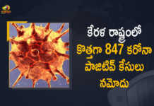 Kerala Reports 847 New Covid-19 Cases in Last 24 Hours, Kerala, 847 New Covid-19 Positive Cases, 3 Deaths Reported, 847 Positive Cases, Kerala Covid-19, 3 Deaths Reported on March 17th, 847 New Covid-19 Positive Cases and 3 Deaths Reported In Kerala, 847 New Covid-19 Cases 3 Deaths in Last 24 Hours In Kerala, Covid-19 Updates of Kerala 847 Positive Cases 3 Deaths Reported on March 17th, Kerala Covid-19 Updates 847 Positive Cases 3 Deaths Reported on March 17th, 847 new Covid-19 cases, 847 new Covid-19 cases In Kerala, 3 Deaths In Kerala, Kerala Covid-19 Updates, Kerala Covid-19 Live Updates, Kerala Covid-19 Latest Updates, Coronavirus, coronavirus Kerala, Coronavirus Updates, COVID-19, COVID-19 Live Updates, Covid-19 New Updates, Mango News, Mango News Telugu, Omicron Cases, Omicron, Update on Omicron, Omicron covid variant, Omicron variant, 847 Positive Cases, Kerala Department of Health, Kerala coronavirus, Kerala coronavirus News, Kerala coronavirus Live Updates,