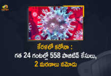 Kerala Covid-19 Updates 558 New Positive Cases Reported in Last 24 Hours, Kerala, 558 New Covid-19 Positive Cases, 2 Deaths Reported, 558 Positive Cases, Kerala Covid-19, 2 Deaths Reported on March 22nd, 558 New Covid-19 Positive Cases and 2 Deaths Reported In Kerala, 558 New Covid-19 Cases 2 Deaths in Last 24 Hours In Kerala, Covid-19 Updates of Kerala 558 Positive Cases 2 Deaths Reported on March 22nd, Kerala Covid-19 Updates 558 Positive Cases 2 Deaths Reported on March 22nd, 558 new Covid-19 cases, 558 new Covid-19 cases In Kerala, 2 Deaths In Kerala, Kerala Covid-19 Updates, Kerala Covid-19 Live Updates, Kerala Covid-19 Latest Updates, Coronavirus, coronavirus Kerala, Coronavirus Updates, COVID-19, COVID-19 Live Updates, Covid-19 New Updates, Mango News, Mango News Telugu, Omicron Cases, Omicron, Update on Omicron, Omicron covid variant, Omicron variant, 558 Positive Cases, Kerala Department of Health, Kerala coronavirus, Kerala coronavirus News, Kerala coronavirus Live Updates,