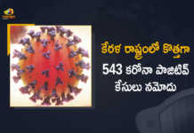 Kerala Reports 543 New Covid-19 Cases in Last 24 Hours, Kerala, 543 New Covid-19 Positive Cases, 0 Deaths Reported, 543 Positive Cases, Kerala Covid-19, 0 Deaths Reported on March 25th, 543 New Covid-19 Positive Cases and 0 Deaths Reported In Kerala, 543 New Covid-19 Cases 0 Deaths in Last 24 Hours In Kerala, Covid-19 Updates of Kerala 543 Positive Cases 0 Deaths Reported on March 25th, Kerala Covid-19 Updates 543 Positive Cases 0 Deaths Reported on March 25th, 543 new Covid-19 cases, 543 new Covid-19 cases In Kerala, 0 Deaths In Kerala, Kerala Covid-19 Updates, Kerala Covid-19 Live Updates, Kerala Covid-19 Latest Updates, Coronavirus, coronavirus Kerala, Coronavirus Updates, COVID-19, COVID-19 Live Updates, Covid-19 New Updates, Mango News, Mango News Telugu, Omicron Cases, Omicron, Update on Omicron, Omicron covid variant, Omicron variant, 543 Positive Cases, Kerala Department of Health, Kerala coronavirus, Kerala coronavirus News, Kerala coronavirus Live Updates,