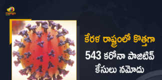Kerala Reports 543 New Covid-19 Cases in Last 24 Hours, Kerala, 543 New Covid-19 Positive Cases, 0 Deaths Reported, 543 Positive Cases, Kerala Covid-19, 0 Deaths Reported on March 25th, 543 New Covid-19 Positive Cases and 0 Deaths Reported In Kerala, 543 New Covid-19 Cases 0 Deaths in Last 24 Hours In Kerala, Covid-19 Updates of Kerala 543 Positive Cases 0 Deaths Reported on March 25th, Kerala Covid-19 Updates 543 Positive Cases 0 Deaths Reported on March 25th, 543 new Covid-19 cases, 543 new Covid-19 cases In Kerala, 0 Deaths In Kerala, Kerala Covid-19 Updates, Kerala Covid-19 Live Updates, Kerala Covid-19 Latest Updates, Coronavirus, coronavirus Kerala, Coronavirus Updates, COVID-19, COVID-19 Live Updates, Covid-19 New Updates, Mango News, Mango News Telugu, Omicron Cases, Omicron, Update on Omicron, Omicron covid variant, Omicron variant, 543 Positive Cases, Kerala Department of Health, Kerala coronavirus, Kerala coronavirus News, Kerala coronavirus Live Updates,