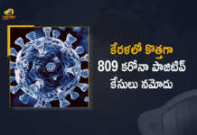 కేరళ రాష్ట్రంలో కొత్తగా 809 కరోనా పాజిటివ్ కేసులు నమోదు Kerala Reports 809 New Covid-19 Cases in Last 24 Hours, Kerala, 809 New Covid-19 Positive Cases, 0 Deaths Reported, 809 Positive Cases, Kerala Covid-19, 0 Deaths Reported on March 14th, 809 New Covid-19 Positive Cases and 0 Deaths Reported In Kerala, 809 New Covid-19 Cases 0 Deaths in Last 24 Hours In Kerala, Covid-19 Updates of Kerala 809 Positive Cases 0 Deaths Reported on March 14th, Kerala Covid-19 Updates 809 Positive Cases 0 Deaths Reported on March 14th, 809 new Covid-19 cases, 809 new Covid-19 cases In Kerala, 0 Deaths In Kerala, Kerala Covid-19 Updates, Kerala Covid-19 Live Updates, Kerala Covid-19 Latest Updates, Coronavirus, coronavirus Kerala, Coronavirus Updates, COVID-19, COVID-19 Live Updates, Covid-19 New Updates, Mango News, Mango News Telugu, Omicron Cases, Omicron, Update on Omicron, Omicron covid variant, Omicron variant, 809 Positive Cases, Kerala Department of Health, Kerala coronavirus, Kerala coronavirus News, Kerala coronavirus Live Updates,