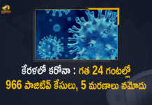 కేరళలో కరోనా : గత 24 గంటల్లో 966 పాజిటివ్ కేసులు, 5 మరణాలు నమోదు Kerala Covid-19 Updates 966 New Positive Cases and 5 Deaths Reported in Last 24 Hours, Kerala, 966 New Covid-19 Positive Cases, 5 Deaths Reported, 966 Positive Cases, Kerala Covid-19, 5 Deaths Reported on March 15th, 966 New Covid-19 Positive Cases and 5 Deaths Reported In Kerala, 966 New Covid-19 Cases 5 Deaths in Last 24 Hours In Kerala, Covid-19 Updates of Kerala 966 Positive Cases 5 Deaths Reported on March 15th, Kerala Covid-19 Updates 966 Positive Cases 5 Deaths Reported on March 15th, 966 new Covid-19 cases, 966 new Covid-19 cases In Kerala, 5 Deaths In Kerala, Kerala Covid-19 Updates, Kerala Covid-19 Live Updates, Kerala Covid-19 Latest Updates, Coronavirus, coronavirus Kerala, Coronavirus Updates, COVID-19, COVID-19 Live Updates, Covid-19 New Updates, Mango News, Mango News Telugu, Omicron Cases, Omicron, Update on Omicron, Omicron covid variant, Omicron variant, 966 Positive Cases, Kerala Department of Health, Kerala coronavirus, Kerala coronavirus News, Kerala coronavirus Live Updates,