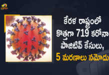 Covid-19 in Kerala 719 New Positive Cases and 5 Deaths Reported in Last 24 Hours, Kerala, 719 New Covid-19 Positive Cases, 5 Deaths Reported, 719 Positive Cases, Kerala Covid-19, 5 Deaths Reported on March 19th, 719 New Covid-19 Positive Cases and 5 Deaths Reported In Kerala, 719 New Covid-19 Cases 5 Deaths in Last 24 Hours In Kerala, Covid-19 Updates of Kerala 719 Positive Cases 5 Deaths Reported on March 19th, Kerala Covid-19 Updates 719 Positive Cases 5 Deaths Reported on March 19th, 719 new Covid-19 cases, 719 new Covid-19 cases In Kerala, 5 Deaths In Kerala, Kerala Covid-19 Updates, Kerala Covid-19 Live Updates, Kerala Covid-19 Latest Updates, Coronavirus, coronavirus Kerala, Coronavirus Updates, COVID-19, COVID-19 Live Updates, Covid-19 New Updates, Mango News, Mango News Telugu, Omicron Cases, Omicron, Update on Omicron, Omicron covid variant, Omicron variant, 719 Positive Cases, Kerala Department of Health, Kerala coronavirus, Kerala coronavirus News, Kerala coronavirus Live Updates,