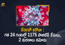Kerala Covid-19 Updates 1175 New Positive Cases and 2 Deaths Reported in Last 24 Hours, Kerala, 1175 New Covid-19 Positive Cases, 2 Deaths Reported, 1175 Positive Cases, Kerala Covid-19, 2 Deaths Reported on March 9th, 1175 New Covid-19 Positive Cases and 2 Deaths Reported In Kerala, 1175 New Covid-19 Cases 2 Deaths in Last 24 Hours In Kerala, Covid-19 Updates of Kerala 1175 Positive Cases 2 Deaths Reported on March 9th, Kerala Covid-19 Updates 1175 Positive Cases 2 Deaths Reported on March 9th, 1175 new Covid-19 cases, 1175 new Covid-19 cases In Kerala, 2 Deaths In Kerala, Kerala Covid-19 Updates, Kerala Covid-19 Live Updates, Kerala Covid-19 Latest Updates, Coronavirus, coronavirus Kerala, Coronavirus Updates, COVID-19, COVID-19 Live Updates, Covid-19 New Updates, Mango News, Mango News Telugu, Omicron Cases, Omicron, Update on Omicron, Omicron covid variant, Omicron variant, 1175 Positive Cases, Kerala Department of Health, Kerala coronavirus, Kerala coronavirus News, Kerala coronavirus Live Updates,