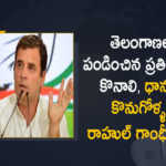 Congress Leader Rahul Gandhi Tweets On Paddy Procurement Issue in Telangana State, Congress Leader Rahul Gandhi Tweets On Paddy Procurement Issue in Telangana, Paddy Procurement Issue in Telangana State, Rahul Gandhi Tweets On Paddy Procurement Issue in Telangana, Congress Leader Rahul Gandhi, Congress Leader, Rahul Gandhi, Rahul Gandhi Tweet, Congress Leader Rahul Gandhi Tweeted In Telugu On Telangana Paddy Procurement Issue, Congress Leader Rahul Gandhi Tweeted, Paddy Procurement Issue, Paddy Procurement in Telangana, Telangana Paddy Procurement, Paddy Procurement, Telangana Paddy Procurement Latest News, Telangana Paddy Procurement Latest Updates, Telangana Paddy Procurement Live Updates, Mango News, Mango News Telugu,