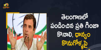 Congress Leader Rahul Gandhi Tweets On Paddy Procurement Issue in Telangana State, Congress Leader Rahul Gandhi Tweets On Paddy Procurement Issue in Telangana, Paddy Procurement Issue in Telangana State, Rahul Gandhi Tweets On Paddy Procurement Issue in Telangana, Congress Leader Rahul Gandhi, Congress Leader, Rahul Gandhi, Rahul Gandhi Tweet, Congress Leader Rahul Gandhi Tweeted In Telugu On Telangana Paddy Procurement Issue, Congress Leader Rahul Gandhi Tweeted, Paddy Procurement Issue, Paddy Procurement in Telangana, Telangana Paddy Procurement, Paddy Procurement, Telangana Paddy Procurement Latest News, Telangana Paddy Procurement Latest Updates, Telangana Paddy Procurement Live Updates, Mango News, Mango News Telugu,