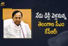 Telangana CM KCR to Visit Delhi Today, CM KCR to Visit Delhi Today, CM KCR to Visit Delhi, Chief Minister K Chandrashekhar Rao will leave for Delhi, Telangana CM KCR to visit Delhi on Wednesday, Telangana CM KCR, Telangana CM KCR visits Delhi, Telangana CM KCR likely to visit Delhi on Wednesday, CM KCR Leaves For Delhi, Telangana CM K Chandrashekhar Rao will leave for Delhi by a special flight on Wednesday, Telangana CM K Chandrashekhar Rao will leave for Delhi, CM KCR, K Chandrashekar Rao, Chief minister of Telangana, Telangana CM K Chandrashekhar Rao, K Chandrashekar Rao Chief minister of Telangana, Telangana Chief minister, Mango News, Mango News Telugu,