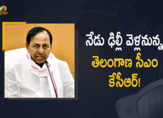 Telangana CM KCR to Visit Delhi Today, CM KCR to Visit Delhi Today, CM KCR to Visit Delhi, Chief Minister K Chandrashekhar Rao will leave for Delhi, Telangana CM KCR to visit Delhi on Wednesday, Telangana CM KCR, Telangana CM KCR visits Delhi, Telangana CM KCR likely to visit Delhi on Wednesday, CM KCR Leaves For Delhi, Telangana CM K Chandrashekhar Rao will leave for Delhi by a special flight on Wednesday, Telangana CM K Chandrashekhar Rao will leave for Delhi, CM KCR, K Chandrashekar Rao, Chief minister of Telangana, Telangana CM K Chandrashekhar Rao, K Chandrashekar Rao Chief minister of Telangana, Telangana Chief minister, Mango News, Mango News Telugu,