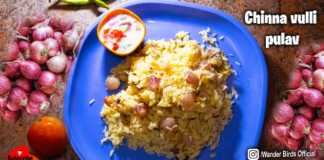 How to Make Small Onion Pulao Recipe - Wander Birds, Onion Pulav Recipe In Telugu, Small Onion Pulao, Onion Rice, Pulao Recipe In Telugu, Wander Birds, pulao recipe, vegetable pulao recipe, veg pulao recipe, veg pulao, veg pulao recipe in telugu, vegetable pulao, Pulav Recipe, veg pulav recipe, easy veg pulav recipe, onion rice recipe, onion fried rice, onion tomato pulao recipe, tomato pulao recipe, easy rice recipes, rice recipes, veg pulaw recipe, Vegetable Pulao, best pulao recipe, Vegetable Pulav, best pulav recipe, Manog News, Manog News Telugu,