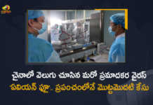 China Reports World's First Human Case of H3N8 Bird Flu A 4-Year-Old Found Infected, China reports first human case of H3N8 bird flu, China Reports World's First Human Case of H3N8 Bird Flu, A 4-Year-Old Boy Found Infected, first human case of H3N8 bird flu, H3N8 bird flu, bird flu H3N8, bird flu, H3N8 bird flu News, H3N8 bird flu Latest News, H3N8 bird flu Latest Updates, H3N8 bird flu first human case Reports In China, bird flu first human case Reports In China, China has recorded the first human infection with the H3N8 strain of Bird Flu, Mango News, Mango News Telugu,