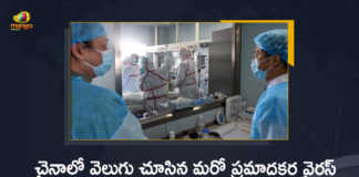 China Reports World's First Human Case of H3N8 Bird Flu A 4-Year-Old Found Infected, China reports first human case of H3N8 bird flu, China Reports World's First Human Case of H3N8 Bird Flu, A 4-Year-Old Boy Found Infected, first human case of H3N8 bird flu, H3N8 bird flu, bird flu H3N8, bird flu, H3N8 bird flu News, H3N8 bird flu Latest News, H3N8 bird flu Latest Updates, H3N8 bird flu first human case Reports In China, bird flu first human case Reports In China, China has recorded the first human infection with the H3N8 strain of Bird Flu, Mango News, Mango News Telugu,