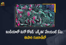 Covid XE Variant Detected in Gujarat Today After Mumbai's First Case, Covid XE Variant Case Detected in Gujarat, Mumbai's First Case, India's Second Case of Corona Virus Variant XE Reported From Gujarat Today, Corona Virus Variant XE, Corona Virus Variant XE First Case, new Covid-19 cases, new Covid-19 cases In India, India Covid-19 Updates, India Covid-19 Live Updates, India Covid-19 Latest Updates, Coronavirus, coronavirus India, Coronavirus Updates, COVID-19, COVID-19 Live Updates, Covid-19 New Updates, Mango News, Mango News Telugu, Omicron Cases, Omicron, Update on Omicron, Omicron covid variant, Omicron variant,, India Department of Health, India coronavirus, India coronavirus News, India coronavirus Live Updates,