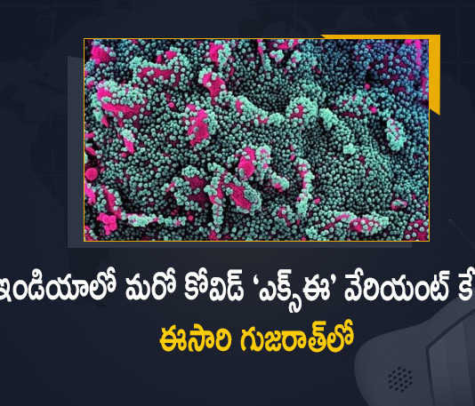 Covid XE Variant Detected in Gujarat Today After Mumbai's First Case, Covid XE Variant Case Detected in Gujarat, Mumbai's First Case, India's Second Case of Corona Virus Variant XE Reported From Gujarat Today, Corona Virus Variant XE, Corona Virus Variant XE First Case, new Covid-19 cases, new Covid-19 cases In India, India Covid-19 Updates, India Covid-19 Live Updates, India Covid-19 Latest Updates, Coronavirus, coronavirus India, Coronavirus Updates, COVID-19, COVID-19 Live Updates, Covid-19 New Updates, Mango News, Mango News Telugu, Omicron Cases, Omicron, Update on Omicron, Omicron covid variant, Omicron variant,, India Department of Health, India coronavirus, India coronavirus News, India coronavirus Live Updates,
