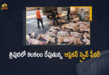 India African Swine Fever Detected in Tripura Govt Orders For Mass Execution of Pigs, African Swine Fever Detected in Tripura Govt Orders For Mass Execution of Pigs, Tripura Govt Orders For Mass Execution of Pigs, African Swine Fever Detected in Tripura, Mass Execution of Pigs, Pigs, Mass Execution of Pigs In Tripura, African Swine Fever, African Swine Fever breaks out in Tripura, African Swine Fever breaks in Tripura, African Swine Fever Clutches Tripura, African Swine Flu Detected in Tripura, african swine fever in Tripura, African Swine Fever News, African Swine Fever Latest News, African Swine Fever Latest Updates, African Swine Fever Live Updates, Mango News, Mango News Telugu,