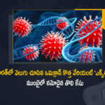 India's First Case of Corona Virus Variant XE Reported From Mumbai Today, Corona Virus Variant XE, Corona Virus Variant XE First Case, new Covid-19 cases, new Covid-19 cases In India, India Covid-19 Updates, India Covid-19 Live Updates, India Covid-19 Latest Updates, Coronavirus, coronavirus India, Coronavirus Updates, COVID-19, COVID-19 Live Updates, Covid-19 New Updates, Mango News, Mango News Telugu, Omicron Cases, Omicron, Update on Omicron, Omicron covid variant, Omicron variant,, India Department of Health, India coronavirus, India coronavirus News, India coronavirus Live Updates,