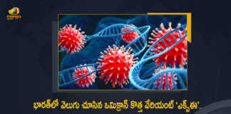 India's First Case of Corona Virus Variant XE Reported From Mumbai Today, Corona Virus Variant XE, Corona Virus Variant XE First Case, new Covid-19 cases, new Covid-19 cases In India, India Covid-19 Updates, India Covid-19 Live Updates, India Covid-19 Latest Updates, Coronavirus, coronavirus India, Coronavirus Updates, COVID-19, COVID-19 Live Updates, Covid-19 New Updates, Mango News, Mango News Telugu, Omicron Cases, Omicron, Update on Omicron, Omicron covid variant, Omicron variant,, India Department of Health, India coronavirus, India coronavirus News, India coronavirus Live Updates,