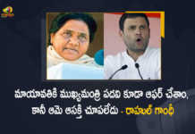 Rahul Gandhi Congress Offered Mayawati UP Chief Minister Post But She Declined, Congress Offered Mayawati UP Chief Minister Post But She Declined, Mayawati Declined UP Chief Minister Post Says Rahul Gandhi, Congress offered Mayawati UP CM post, UP CM post, Congress leader Rahul Gandhi, UP Politics, Indian National Congress president, Indian National Congress president Rahul Gandhi, Mayawati hits back at Rahul Gandhi, Rahul Gandhi, Rahul Gandhi claimed that the Congress offered to make her the chief ministerial candidate in UP, UP Politics Latest News, UP Politics Latest Updates, UP Politics Live Updates, BSP supremo Mayawati, Mayawati, Mango News, Mango News Telugu,
