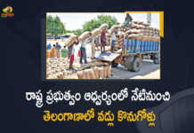 Telangana Paddy Purchase Starts From Today by State Government, Telangana Paddy Purchase Starts From Today, Paddy Purchase Starts From Today by State Government, Paddy Purchase Starts From Today, Paddy Purchase Starts From Today by Telangana State Government, Telangana State Government, Paddy Procurement Issue, Telangana Paddy Procurement Issue, Paddy Procurement in Telangana, Telangana Paddy Procurement, Paddy Procurement Centers, Paddy Procurement, Paddy Procurement News, Paddy Procurement Latest News, Paddy Procurement Latest Updates, Paddy Procurement Live Updates, Telangana CM KCR, K Chandrashekar Rao, Chief minister of Telangana, K Chandrashekar Rao Chief minister of Telangana, Telangana Chief minister, Telangana Chief minister K Chandrashekar Rao, Telangana, Mango News, Mango News Telugu,