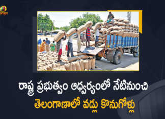 Telangana Paddy Purchase Starts From Today by State Government, Telangana Paddy Purchase Starts From Today, Paddy Purchase Starts From Today by State Government, Paddy Purchase Starts From Today, Paddy Purchase Starts From Today by Telangana State Government, Telangana State Government, Paddy Procurement Issue, Telangana Paddy Procurement Issue, Paddy Procurement in Telangana, Telangana Paddy Procurement, Paddy Procurement Centers, Paddy Procurement, Paddy Procurement News, Paddy Procurement Latest News, Paddy Procurement Latest Updates, Paddy Procurement Live Updates, Telangana CM KCR, K Chandrashekar Rao, Chief minister of Telangana, K Chandrashekar Rao Chief minister of Telangana, Telangana Chief minister, Telangana Chief minister K Chandrashekar Rao, Telangana, Mango News, Mango News Telugu,
