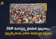 Telangana Today is The Last Day of Pranahita Pushkar Ghats Filled with Thousands of Devotees For Holy Baths, Today is The Last Day of Pranahita Pushkar Ghats Filled with Thousands of Devotees For Holy Baths, Pranahita Pushkar Ghats Filled with Thousands of Devotees For Holy Baths, Last Day of Pranahita Pushkar Ghats Filled with Thousands of Devotees For Holy Baths, Telangana Pranahita Pushkar Ghats, Telangana Pranahita Pushkar Ghats Filled with Thousands of Devotees For Holy Baths, Holy Baths In Telangana Pranahita Pushkar Ghats, Pranahita Pushkar Ghats, Last Day of Pranahita Pushkar Ghats, Pranahita Pushkar, Pranahita Pushkar Ghats News, Pranahita Pushkar Ghats Latest News, Pranahita Pushkar Ghats Latest Updates, Pranahita Pushkar Ghats Live Updates, Mango News, Mango News Telugu,