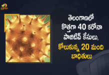 Covid-19 Updates of Telangana 40 Positive Cases 20 Recoveries Reported on April 28th, Telangana, Telangana Covid-19, 20 Recoveries Reported on Telangana April 28th, 40 new Covid-19 cases In Telangana, Telangana Covid-19 Updates, Telangana Covid-19 Live Updates, Telangana Covid-19 Latest Updates, Coronavirus, Coronavirus Breaking News, Coronavirus Latest News, COVID-19, Telangana Coronavirus, Telangana Coronavirus Cases, Telangana Coronavirus Deaths, Telangana Coronavirus New Cases, Telangana Coronavirus News, Telangana New Positive Cases, Total COVID 19 Cases, Coronavirus, COVID-19, Covid-19 Updates in Telangana, Telangana corona district wise cases, Telangana coronavirus cases district wise, Mango News, Mango News Telugu,