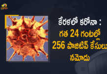 Kerala Covid-19 Updates 256 New Positive Cases Reported in Last 24 Hours, Kerala, 256 New Covid-19 Positive Cases, 0 Deaths Reported, 256 Positive Cases, Kerala Covid-19, 0 Deaths Reported on April 4th, 256 New Covid-19 Positive Cases and 0 Deaths Reported In Kerala, 256 New Covid-19 Cases 0 Deaths in Last 24 Hours In Kerala, Covid-19 Updates of Kerala 256 Positive Cases 0 Deaths Reported on April 4th, Kerala Covid-19 Updates 256 Positive Cases 0 Deaths Reported on April 4th, 256 new Covid-19 cases, 256 new Covid-19 cases In Kerala, 0 Deaths In Kerala, Kerala Covid-19 Updates, Kerala Covid-19 Live Updates, Kerala Covid-19 Latest Updates, Coronavirus, coronavirus Kerala, Coronavirus Updates, COVID-19, COVID-19 Live Updates, Covid-19 New Updates, Mango News, Mango News Telugu, Omicron Cases, Omicron, Update on Omicron, Omicron covid variant, Omicron variant, 256 Positive Cases, Kerala Department of Health, Kerala coronavirus, Kerala coronavirus News, Kerala coronavirus Live Updates,