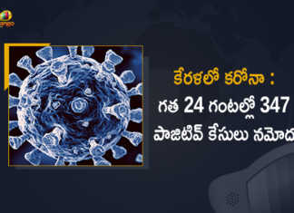 Kerala Covid-19 Updates 347 New Positive Cases Reported in Last 24 Hours, Kerala, 347 New Covid-19 Positive Cases, 0 Deaths Reported, 347 Positive Cases, Kerala Covid-19, 0 Deaths Reported on April 9th, 347 New Covid-19 Positive Cases and 0 Deaths Reported In Kerala, 347 New Covid-19 Cases 0 Deaths in Last 24 Hours In Kerala, Covid-19 Updates of Kerala 347 Positive Cases 0 Deaths Reported on April 9th, Kerala Covid-19 Updates 347 Positive Cases 0 Deaths Reported on April 9th, 347 new Covid-19 cases, 347 new Covid-19 cases In Kerala, 0 Deaths In Kerala, Kerala Covid-19 Updates, Kerala Covid-19 Live Updates, Kerala Covid-19 Latest Updates, Coronavirus, coronavirus Kerala, Coronavirus Updates, COVID-19, COVID-19 Live Updates, Covid-19 New Updates, Mango News, Mango News Telugu, Omicron Cases, Omicron, Update on Omicron, Omicron covid variant, Omicron variant, 347 Positive Cases, Kerala Department of Health, Kerala coronavirus, Kerala coronavirus News, Kerala coronavirus Live Updates,