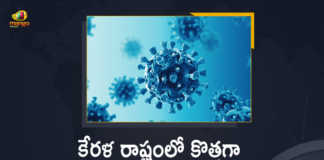 Kerala Reports 354 New Covid-19 Cases in Last 24 Hours, Kerala, 354 New Covid-19 Positive Cases, 0 Deaths Reported, 354 Positive Cases, Kerala Covid-19, 0 Deaths Reported on April 5th, 354 New Covid-19 Positive Cases and 0 Deaths Reported In Kerala, 354 New Covid-19 Cases 0 Deaths in Last 24 Hours In Kerala, Covid-19 Updates of Kerala 354 Positive Cases 0 Deaths Reported on April 5th, Kerala Covid-19 Updates 354 Positive Cases 0 Deaths Reported on April 5th, 354 new Covid-19 cases, 354 new Covid-19 cases In Kerala, 0 Deaths In Kerala, Kerala Covid-19 Updates, Kerala Covid-19 Live Updates, Kerala Covid-19 Latest Updates, Coronavirus, coronavirus Kerala, Coronavirus Updates, COVID-19, COVID-19 Live Updates, Covid-19 New Updates, Mango News, Mango News Telugu, Omicron Cases, Omicron, Update on Omicron, Omicron covid variant, Omicron variant, 354 Positive Cases, Kerala Department of Health, Kerala coronavirus, Kerala coronavirus News, Kerala coronavirus Live Updates,
