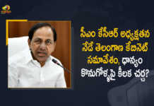 Telangana Cabinet Meet Today CM KCR Likely To Take Decision on Paddy Procurement, Telangana Cabinet Meet Today, CM KCR Likely To Take Decision on Paddy Procurement, KCR To Hold Cabinet Meeting Over Paddy Procurement Issue At 2 PM, CM KCR To Chair Telangana Cabinet Meeting Today at Pragathi Bhavan, CM KCR To Chair Telangana Cabinet Meeting Today, CM KCR To Chair Cabinet Meeting Tomorrow at Pragathi Bhavan, Telangana Cabinet Meeting, Pragathi Bhavan, CM KCR To Chair Cabinet Meeting, Paddy Procurement Issue, Telangana Paddy Procurement Issue, Paddy Procurement in Telangana, Telangana Paddy Procurement, Paddy Procurement, Paddy Procurement News, Paddy Procurement Latest News, Paddy Procurement Latest Updates, Paddy Procurement Live Updates, Telangana CM KCR, K Chandrashekar Rao, Chief minister of Telangana, K Chandrashekar Rao Chief minister of Telangana, Telangana Chief minister, Telangana Chief minister K Chandrashekar Rao, Telangana, Mango News, Mango News Telugu,