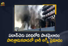 Major Fire Mishap Breaks Out at Pashamylaram Industrial Park, Fire Mishap Breaks Out at Pashamylaram Industrial Park, Major Fire Breaks Out at Pashamylaram Industrial Park, Pashamylaram Industrial Park, Fire breaks out in Pashamylaram Industrial Park Area, major fire broke out at the paint factory in Pashamylaram industrial area, Massive Fire Mishap, Pashamylaram Industrial Area, Pashamylaram Industrial Park News, Pashamylaram Industrial Park Latest News, Pashamylaram Industrial Park Latest Updates, Pashamylaram Industrial Park Live Updates, Mango News, Mango News Telugu,