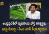 CM YS Jagan Orders To Fix Meters For Connections of Agricultural Bores in AP, AP CM YS Jagan Orders To Fix Meters For Connections of Agricultural Bores in AP, YS Jagan Orders To Fix Meters For Connections of Agricultural Bores in AP, Fix Meters For Connections of Agricultural Bores in AP, Connections of Agricultural Bores in AP, Agricultural Bores in AP, AP Connections of Agricultural Bores, Agricultural Bores, AP CM YS Jagan reviews on Agriculture sector, Agriculture sector, Agricultural Bores News, Agricultural Bores Latest News, Agricultural Bores Latest Updates, Agricultural Bores Live Updates, AP CM YS Jagan Mohan Reddy, AP CM YS Jagan, YS Jagan Mohan Reddy, Jagan Mohan Reddy, AP CM, YS Jagan, CM YS Jagan, Mango News, Mango News Telugu,