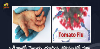 India 26 Tomato Flu Cases Detected in Children at Odisha, 26 Tomato Flu Cases Detected in Children at Odisha, Odisha 26 Tomato Flu Cases Detected in Children, 26 Tomato Flu Cases Detected in Children, 26 Tomato Flu Cases, Tomato Flu Cases, India Tomato Flu Cases, Odisha Tomato Flu Cases, Tomato Flu, Tomato Flu Detected in Children, Tomato Flu 26 Cases Detected In Odisha, Tomato flu 26 children detected in Odisha, 26 children detected Tomato flu, Tomato Flu Cases News, Tomato Flu Cases Latest News, Tomato Flu Cases Latest Updates, Tomato Flu Cases Live Updates, Mango News, Mango News Telugu,