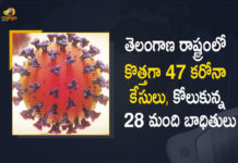 Covid-19 Updates of Telangana 47 Positive Cases 28 Recoveries Reported on May 26th, Telangana, Telangana Covid-19, 28 Recoveries Reported on Telangana May 26th, 47 new Covid-19 cases In Telangana, Telangana Covid-19 Updates, Telangana Covid-19 Live Updates, Telangana Covid-19 Latest Updates, Coronavirus, Coronavirus Breaking News, Coronavirus Latest News, COVID-19, Telangana Coronavirus, Telangana Coronavirus Cases, Telangana Coronavirus Deaths, Telangana Coronavirus New Cases, Telangana Coronavirus News, Telangana New Positive Cases, Total COVID 19 Cases, Coronavirus, COVID-19, Covid-19 Updates in Telangana, Telangana corona district wise cases, Telangana coronavirus cases district wise, Mango News, Mango News Telugu,