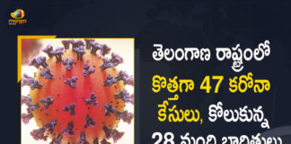 Covid-19 Updates of Telangana 47 Positive Cases 28 Recoveries Reported on May 26th, Telangana, Telangana Covid-19, 28 Recoveries Reported on Telangana May 26th, 47 new Covid-19 cases In Telangana, Telangana Covid-19 Updates, Telangana Covid-19 Live Updates, Telangana Covid-19 Latest Updates, Coronavirus, Coronavirus Breaking News, Coronavirus Latest News, COVID-19, Telangana Coronavirus, Telangana Coronavirus Cases, Telangana Coronavirus Deaths, Telangana Coronavirus New Cases, Telangana Coronavirus News, Telangana New Positive Cases, Total COVID 19 Cases, Coronavirus, COVID-19, Covid-19 Updates in Telangana, Telangana corona district wise cases, Telangana coronavirus cases district wise, Mango News, Mango News Telugu,