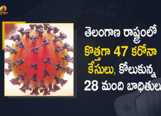 Covid-19 Updates of Telangana 47 Positive Cases 28 Recoveries Reported on May 26th, Telangana, Telangana Covid-19, 28 Recoveries Reported on Telangana May 26th, 47 new Covid-19 cases In Telangana, Telangana Covid-19 Updates, Telangana Covid-19 Live Updates, Telangana Covid-19 Latest Updates, Coronavirus, Coronavirus Breaking News, Coronavirus Latest News, COVID-19, Telangana Coronavirus, Telangana Coronavirus Cases, Telangana Coronavirus Deaths, Telangana Coronavirus New Cases, Telangana Coronavirus News, Telangana New Positive Cases, Total COVID 19 Cases, Coronavirus, COVID-19, Covid-19 Updates in Telangana, Telangana corona district wise cases, Telangana coronavirus cases district wise, Mango News, Mango News Telugu,