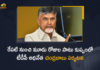 TDP Chief Chandrababu to Tour in Kuppam From May 11 to 13th, Chandrababu to Tour in Kuppam From May 11 to 13th, TDP President Chandrababu to Tour in Kuppam From May 11 to 13th, Chandrababu to tour kuppam, Chandrababu three days Kuppam tour, TDP chief Nara Chandrababu Naidu, Nara Chandrababu Naidu, TDP President Nara Chandrababu Naidu, TDP President Chandrababu, Chandrababu Naidu, TDP national president Nara Chandrababu Naidu, Chandrababu Naidu Kuppam Tour, Nara Chandrababu Naidu three days Kuppam Tour, Chandrababu Naidu Kuppam Tour News, Chandrababu Naidu Kuppam Tour Latest News, Chandrababu Naidu Kuppam Tour Latest Updates, Chandrababu Naidu Kuppam Tour Live Updates, Mango News, Mango News Telugu,