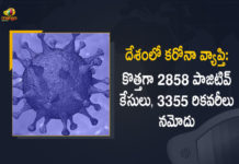 2858 New Covid-19 Cases 11 Deaths Reported in India in the Last 24 Hours, India, India Covid-19, 11 Deaths Reported on India May 13th, 2858 new Covid-19 cases In India, India Covid-19 Updates, India Covid-19 Live Updates, India Covid-19 Latest Updates, Coronavirus, Coronavirus Breaking News, Coronavirus Latest News, COVID-19, India Coronavirus, India Coronavirus Cases, India Coronavirus Deaths, India Coronavirus New Cases, India Coronavirus News, India New Positive Cases, Total COVID 19 Cases, Coronavirus, Covid-19 Updates in India, India corona State wise cases, India coronavirus cases State wise, Mango News, Mango News Telugu,