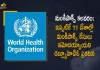 WHO Says Monkeypox Outbreaks in 11 Countries 80 Confirmed Cases so far, WHO Says 80 Confirmed Monkeypox Cases so far, WHO Says Monkeypox Outbreaks in 11 Countries, Monkeypox Outbreaks in 11 Countries, 11 Countries, Monkeypox, 80 Confirmed Cases, World Health Organization confirm 80 cases of Monkeypox in 11 countires, World Health Organisation confirms 80 monkeypox cases so far in 11 countries, 80 Monkeypox Cases In 11 Countries, Monkeypox Cases News, Monkeypox Cases Latest News, Monkeypox Cases Latest Updates, Monkeypox Cases Live Updates, Mango News, Mango News Telugu,