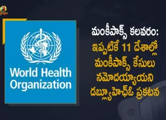 WHO Says Monkeypox Outbreaks in 11 Countries 80 Confirmed Cases so far, WHO Says 80 Confirmed Monkeypox Cases so far, WHO Says Monkeypox Outbreaks in 11 Countries, Monkeypox Outbreaks in 11 Countries, 11 Countries, Monkeypox, 80 Confirmed Cases, World Health Organization confirm 80 cases of Monkeypox in 11 countires, World Health Organisation confirms 80 monkeypox cases so far in 11 countries, 80 Monkeypox Cases In 11 Countries, Monkeypox Cases News, Monkeypox Cases Latest News, Monkeypox Cases Latest Updates, Monkeypox Cases Live Updates, Mango News, Mango News Telugu,