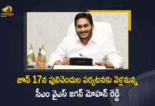 AP CM YS Jagan Mohan Reddy To Visit Pulivendula on June 17, CM YS Jagan Mohan Reddy To Visit Pulivendula on June 17, YS Jagan Mohan Reddy To Visit Pulivendula on June 17, AP CM YS Jagan To Visit Pulivendula on June 17, AP CM To Visit Pulivendula on June 17, AP CM YS Jagan To Visit Pulivendula, AP CM YS Jagan Pulivendula Tour on June 17, AP CM YS Jagan Pulivendula Tour, Pulivendula Tour, AP CM YS Jagan Pulivendula Tour News, AP CM YS Jagan Pulivendula Tour Latest News, AP CM YS Jagan Pulivendula Tour Latest Updates, AP CM YS Jagan Pulivendula Tour Live Updates, AP CM YS Jagan Mohan Reddy, CM YS Jagan Mohan Reddy, AP CM YS Jagan, YS Jagan Mohan Reddy, Jagan Mohan Reddy, YS Jagan, CM Jagan, CM YS Jagan, Mango News, Mango News Telugu,