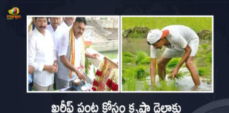 AP Minister Ambati Rambabu Released Irrigation Water To Krishna Delta For Kharif Crop, Minister Ambati Rambabu Released Irrigation Water To Krishna Delta For Kharif Crop, Ambati Rambabu Released Irrigation Water To Krishna Delta For Kharif Crop, Irrigation Water To Krishna Delta For Kharif Crop, Irrigation Water To Krishna Delta, Kharif Crop, Krishna Delta, Irrigation Water, released irrigation water in the Godavari delta, Water Resources Minister Ambati Rambabu released irrigation water, Water Resources Minister Ambati Rambabu, Minister Ambati Rambabu, Water Resources Minister, AP Minister Ambati Rambabu, Ambati Rambabu, Kharif Crop News, Kharif Crop Latest News, Mango News, Mango News Telugu,
