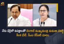 CM KCR Likely To Skips Mamata Banerjee's Meet Over Presidential Poll Strategy at Delhi Today, Telangana CM KCR Likely To Skips Mamata Banerjee's Meet Over Presidential Poll Strategy at Delhi Today, KCR Likely To Skips Mamata Banerjee's Meet Over Presidential Poll Strategy at Delhi Today, Mamata Banerjee's Meet Over Presidential Poll Strategy at Delhi Today, Presidential Poll Strategy at Delhi Today, Presidential Poll Strategy, Telangana CM KCR, CM KCR, WB CM Mamata Banerjee, CM Mamata Banerjee, Mamata Banerjee, West Bengal CM Mamata Banerjee, Presidential Poll Strategy News, Presidential Poll Strategy Latest News, Presidential Poll Strategy Latest Updates, Presidential Poll Strategy Live Updates, Mango News, Mango News Telugu,