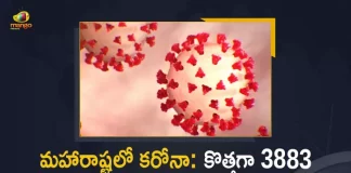 Maharashtra Reports 3883 New Covid-19 Cases and 2 Deaths in Last 24 Hours, Maharashtra, Maharashtra Covid-19, 2 Deaths Reported on Maharashtra June 17th, 3883 new Covid-19 cases In Maharashtra, Maharashtra Covid-19 Updates, Maharashtra Covid-19 Live Updates, Maharashtra Covid-19 Latest Updates, Coronavirus, Coronavirus Breaking News, Coronavirus Latest News, COVID-19, Maharashtra Coronavirus, Maharashtra Coronavirus Cases, Maharashtra Coronavirus Deaths, Maharashtra Coronavirus New Cases, Maharashtra Coronavirus News, Maharashtra New Positive Cases, Total COVID 19 Cases, Coronavirus, COVID-19, Covid-19 Updates in Maharashtra, Maharashtra corona district wise cases, Maharashtra coronavirus cases district wise, Mango News, Mango News Telugu,