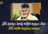 TDP Chief Chandrababu Naidu Interesting Comments on YCP Govt and CBI, TDP Chief Interesting Comments on YCP Govt and CBI, TDP Chief Chandrababu Naidu Interesting Comments on CBI, TDP Chief Chandrababu Naidu Interesting Comments on YCP Govt, Chandrababu Naidu Comments on YCP Govt and CBI, Chandrababu Naidu Sensational Comments on YCP Govt and CBI, YCP Govt and CBI, YCP Govt, CBI, TDP Chief Chandrababu Naidu, TDP President Chandrababu Naidu, Chandrababu Naidu, National President of the Telugu Desam Party, YCP Govt News, YCP Govt Latest News, YCP Govt Latest Updates, YCP Govt Live Updates, Mango News, Mango News Telugu,