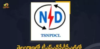 TSNPDCL Issues Notification For The Recruitment of 82 Electrical AE Posts in Telangana, Recruitment of 82 Electrical AE Posts in Telangana, 82 Electrical Assistant Engineer Posts, TSNPDCL Issues Notification For The Recruitment of 82 Electrical AE Posts, TSNPDCL Recruitment 2022, 2022 TSNPDCL Recruitment, TSNPDCL Recruitment, Telangana State Northern Power Distribution, Telangana State Northern Power Distribution Issues Notification For The Recruitment of 82 Electrical AE Posts in Telangana, 82 Electrical AE Posts, Electrical AE Posts, Electrical Assistant Engineer Posts, TSNPDCL, Telangana Electrical AE Posts News, Telangana Electrical AE Posts Latest News, Telangana Electrical AE Posts Latest Updates, Telangana Electrical AE Posts Live Updates, Mango News, Mango News Telugu,