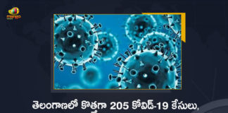 Covid-19 in Telangana 205 New Positive Cases 63 Recoveries Reported on June 15th, Telangana, Telangana Covid-19, 63 Recoveries Reported on Telangana June 15th, 205 new Covid-19 cases In Telangana, Telangana Covid-19 Updates, Telangana Covid-19 Live Updates, Telangana Covid-19 Latest Updates, Coronavirus, Coronavirus Breaking News, Coronavirus Latest News, COVID-19, Telangana Coronavirus, Telangana Coronavirus Cases, Telangana Coronavirus Deaths, Telangana Coronavirus New Cases, Telangana Coronavirus News, Telangana New Positive Cases, Total COVID 19 Cases, Coronavirus, COVID-19, Covid-19 Updates in Telangana, Telangana corona district wise cases, Telangana coronavirus cases district wise, Mango News, Mango News Telugu,