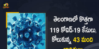Covid-19 Updates of Telangana 119 Positive Cases 43 Recoveries Reported on June 7th, Telangana, Telangana Covid-19, 43 Recoveries Reported on Telangana June 7th, 119 new Covid-19 cases In Telangana, Telangana Covid-19 Updates, Telangana Covid-19 Live Updates, Telangana Covid-19 Latest Updates, Coronavirus, Coronavirus Breaking News, Coronavirus Latest News, COVID-19, Telangana Coronavirus, Telangana Coronavirus Cases, Telangana Coronavirus Deaths, Telangana Coronavirus New Cases, Telangana Coronavirus News, Telangana New Positive Cases, Total COVID 19 Cases, Coronavirus, COVID-19, Covid-19 Updates in Telangana, Telangana corona district wise cases, Telangana coronavirus cases district wise, Mango News, Mango News Telugu,