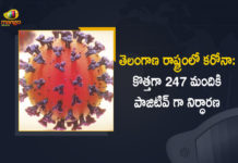 Telangana Reports 247 New Covid-19 Cases 116 Recoveries on June 18, Telangana, Telangana Covid-19, 116 Recoveries Reported on Telangana June 18th, 247 new Covid-19 cases In Telangana, Telangana Covid-19 Updates, Telangana Covid-19 Live Updates, Telangana Covid-19 Latest Updates, Coronavirus, Coronavirus Breaking News, Coronavirus Latest News, COVID-19, Telangana Coronavirus, Telangana Coronavirus Cases, Telangana Coronavirus Deaths, Telangana Coronavirus New Cases, Telangana Coronavirus News, Telangana New Positive Cases, Total COVID 19 Cases, Coronavirus, COVID-19, Covid-19 Updates in Telangana, Telangana corona district wise cases, Telangana coronavirus cases district wise, Mango News, Mango News Telugu,