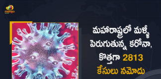 Maharashtra Reports 2813 New Covid-19 Cases and 1 Death in Last 24 Hours, Maharashtra, Maharashtra Covid-19, 1 Death Reported on Maharashtra June 9th, 2813 new Covid-19 cases In Maharashtra, Maharashtra Covid-19 Updates, Maharashtra Covid-19 Live Updates, Maharashtra Covid-19 Latest Updates, Coronavirus, Coronavirus Breaking News, Coronavirus Latest News, COVID-19, Maharashtra Coronavirus, Maharashtra Coronavirus Cases, Maharashtra Coronavirus Deaths, Maharashtra Coronavirus New Cases, Maharashtra Coronavirus News, Maharashtra New Positive Cases, Total COVID 19 Cases, Coronavirus, COVID-19, Covid-19 Updates in Maharashtra, Maharashtra corona district wise cases, Maharashtra coronavirus cases district wise, Mango News, Mango News Telugu,
